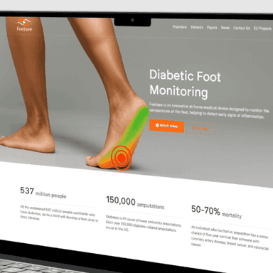 Feetsee diabetic foot monitoring website screenshot